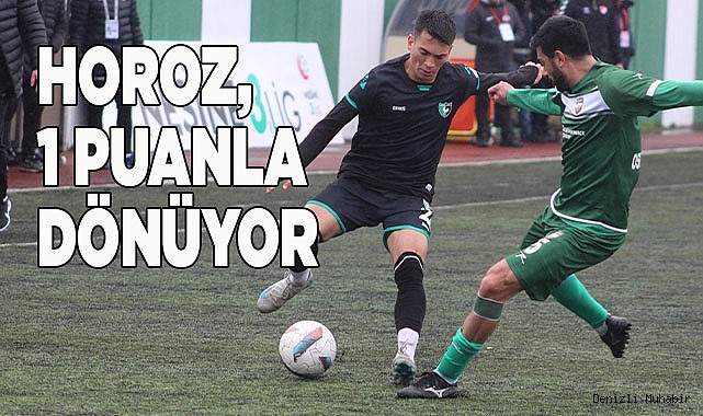 Denizlispor, puanla dönüyor