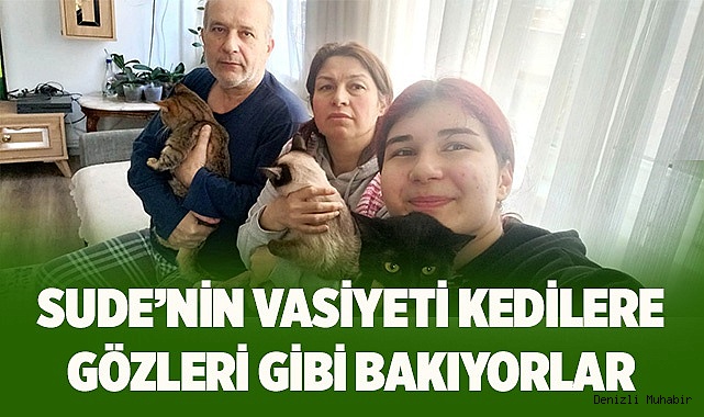 Sude’nin vasiyeti kedilere gözleri gibi bakıyorlar