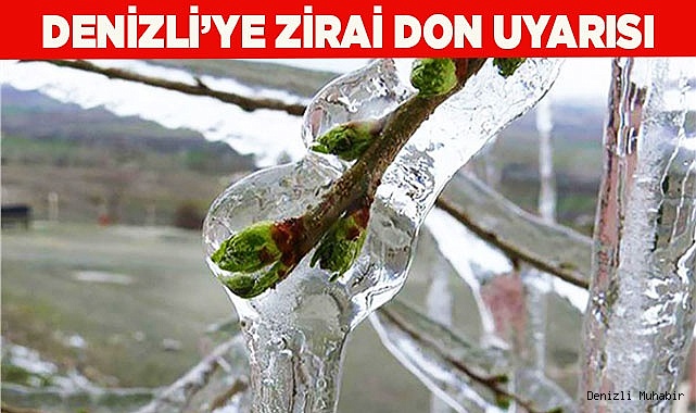Denizli'ye zirai don uyarısı