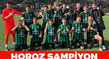 HOROZ ŞAMPİYON 