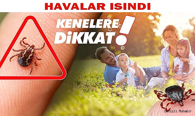 KENE TEHLİKESİ HORTLADI