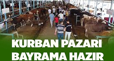 KURBAN PAZARI BAYRAMA HAZIR