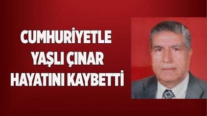 Cumhuriyetle yaşıt çınar hayatını kaybetti