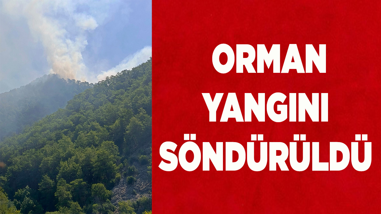Orman yangını söndürüldü