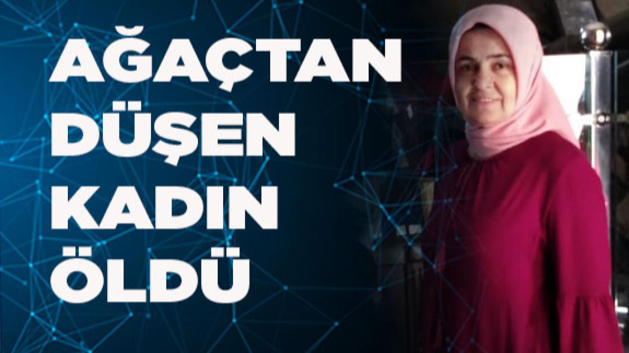 Denizli’de ağaçtan düşen kadın öldü