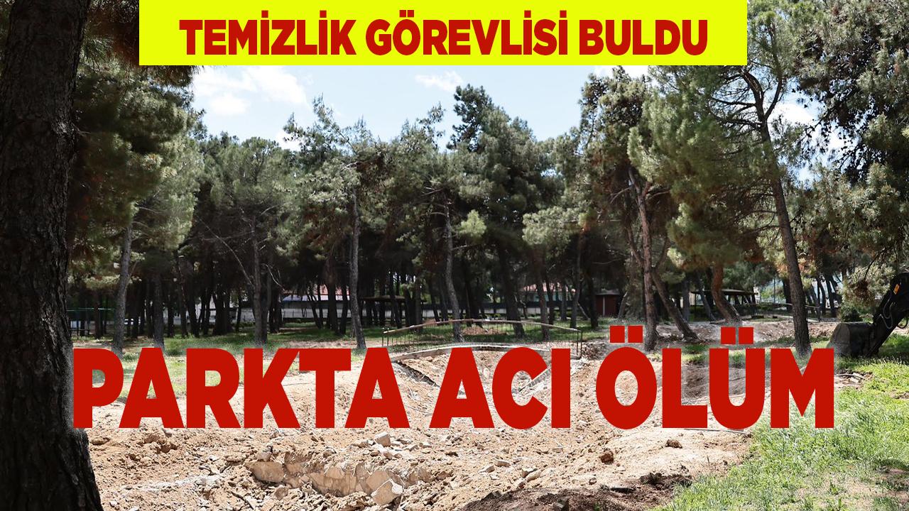 Parkta Acı Ölüm