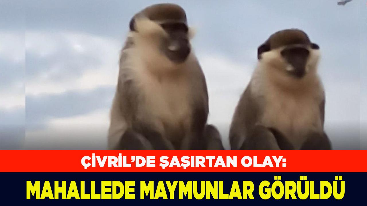 Otomatik Taslak