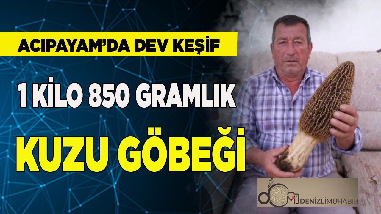 Acıpayam'da Dev Sürpriz Kuzu Göbeği Görenleri Büyüledi
