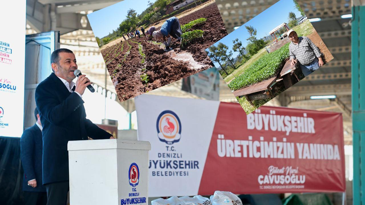 Büyükşehir desteğiyle Kale Biberi fideleri toprakla buluştu
