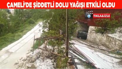 Çameli'de Şiddetli Dolu Yağışı Etkili Oldu