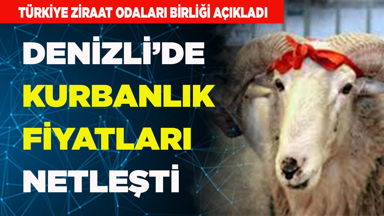 Denizli’de Kurbanlık Fiyatları Netleşti