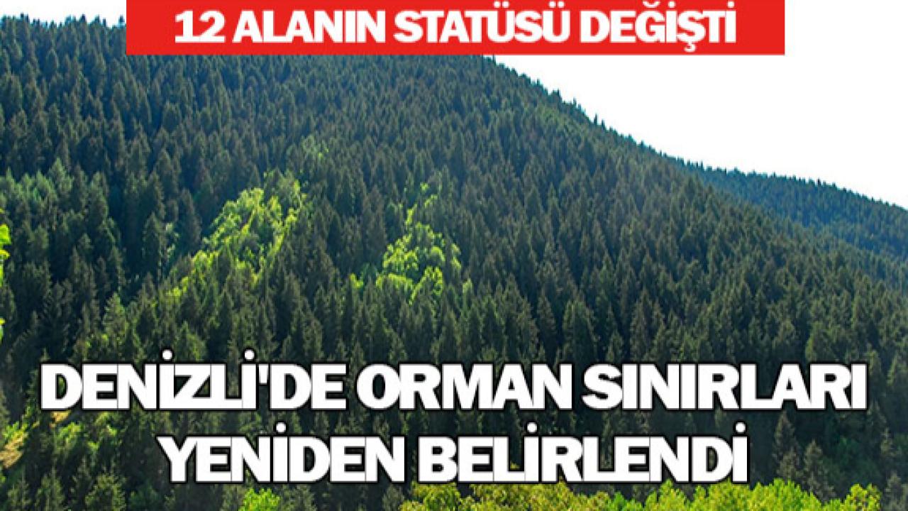 Denizli'de Orman Sınırları Yeniden Belirlendi