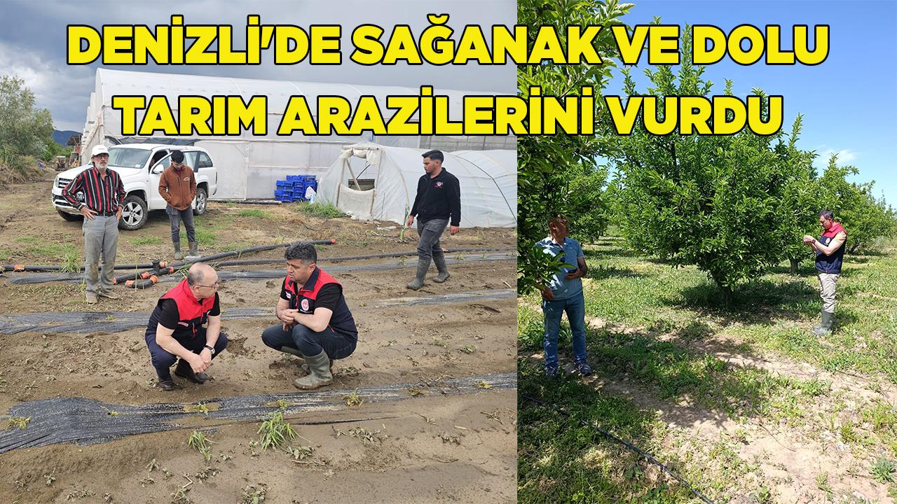 Denizli'de Sağanak ve Dolu Tarım Arazilerini Vurdu