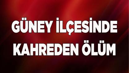 Güney İlçesinde Silah Kazası Can Aldı