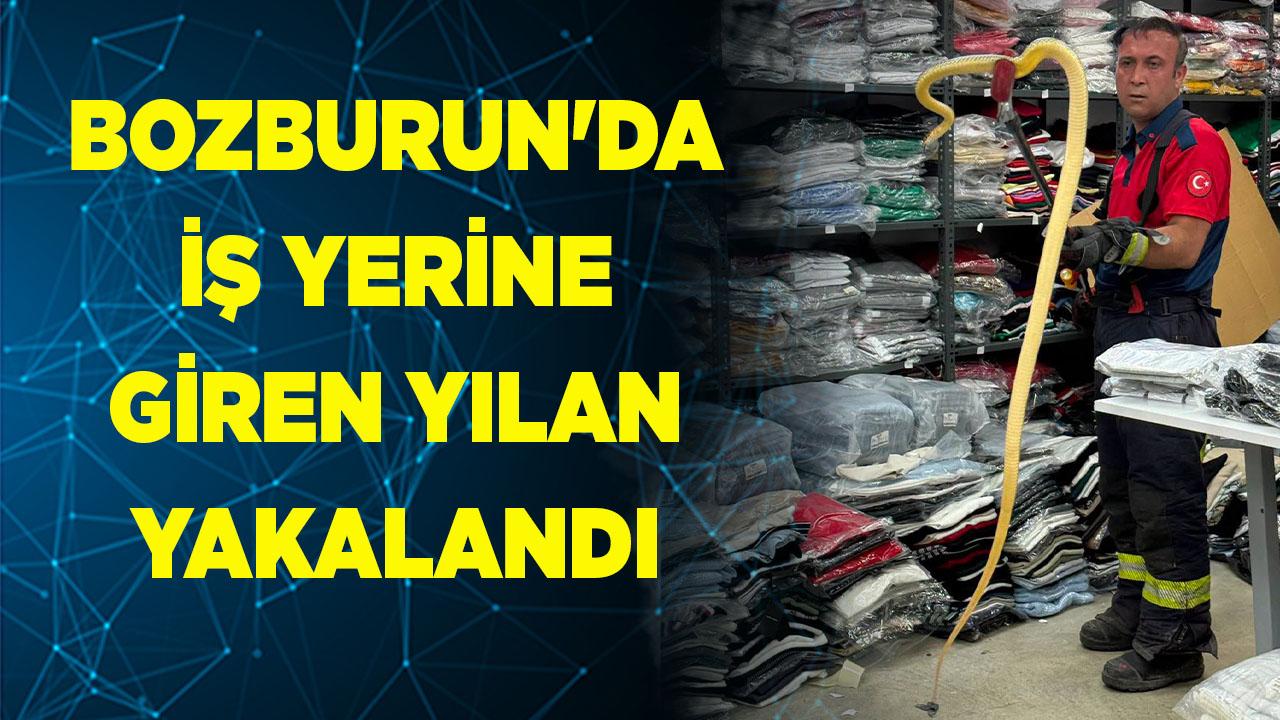 Bozburun'da İş Yerine Giren Yılan Yakalandı