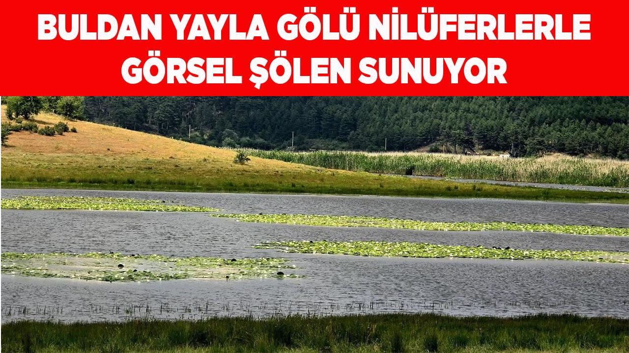 Buldan Yayla Gölü Nilüferlerle Görsel Şölen Sunuyor