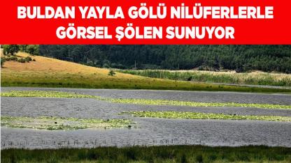 Buldan Yayla Gölü Nilüferlerle Görsel Şölen Sunuyor