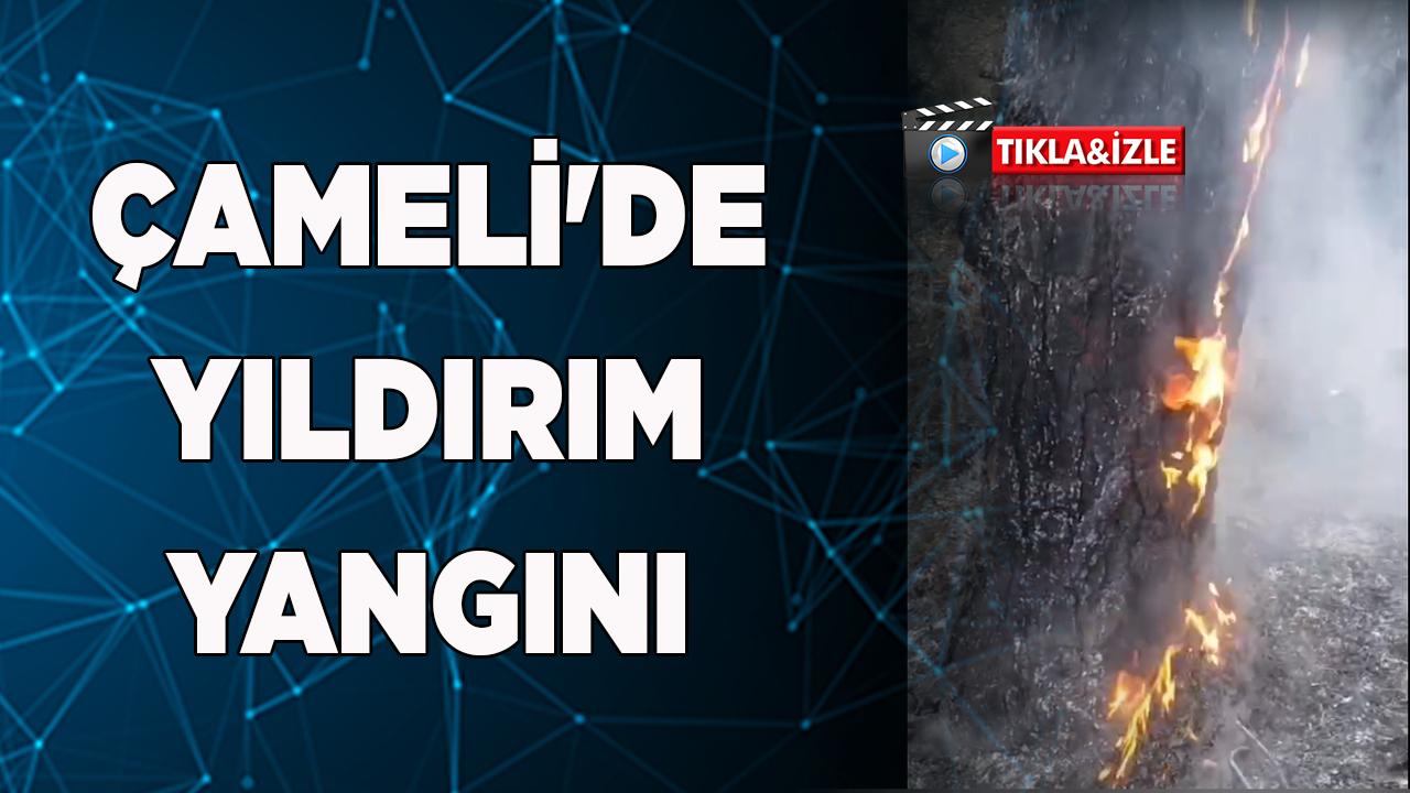 Çameli'de Yıldırım ağacı yaktı