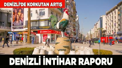 2025 yılı TÜİK Denizli intihar verileri
