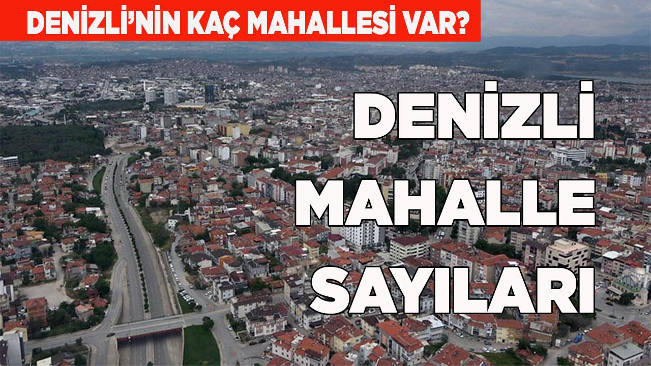 Denizli Mahalle Sayıları