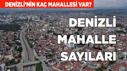 Denizli Mahalle Sayıları