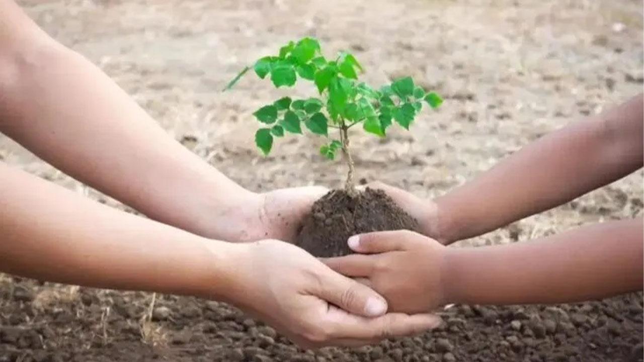 Enerya, Doğaya Sürdürülebilirliği Geleceğe Taşıyor