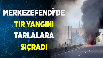 Merkezefendi'de tır yangını tarlalara sıçradı