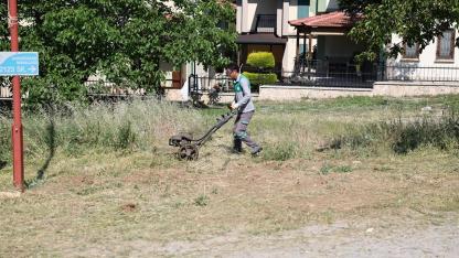 PAMUKKALE’DE 823 KİLOMETREKARELİK ALANDA YABANİ OT MESAİSİ