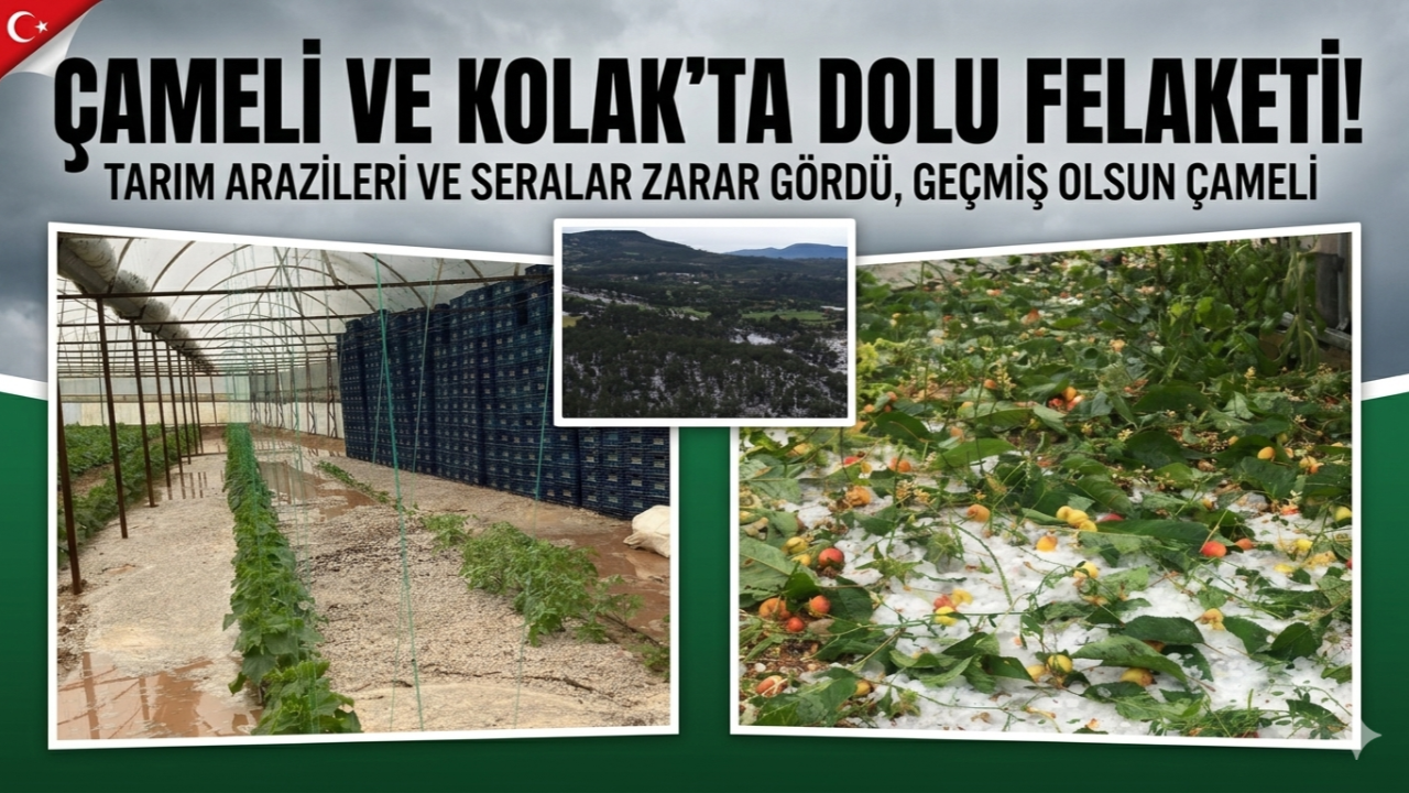 Otomatik Taslak
