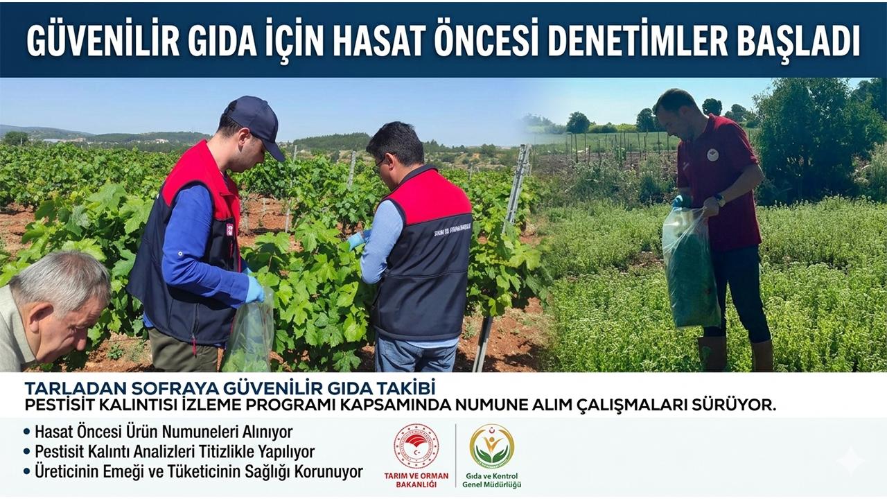 Tarlada Hasat Öncesi Pestisit Denetimi Başladı