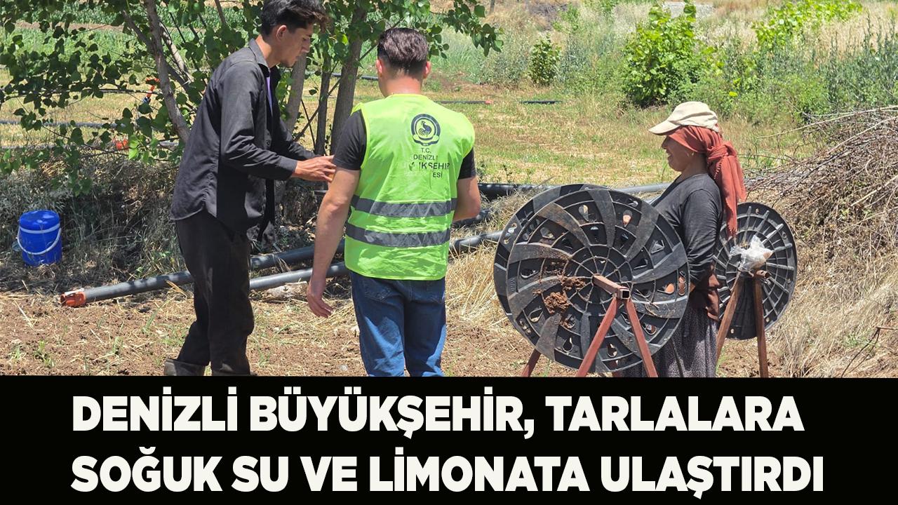 Denizli Büyükşehir, tarlalara soğuk su ve limonata ulaştırdı