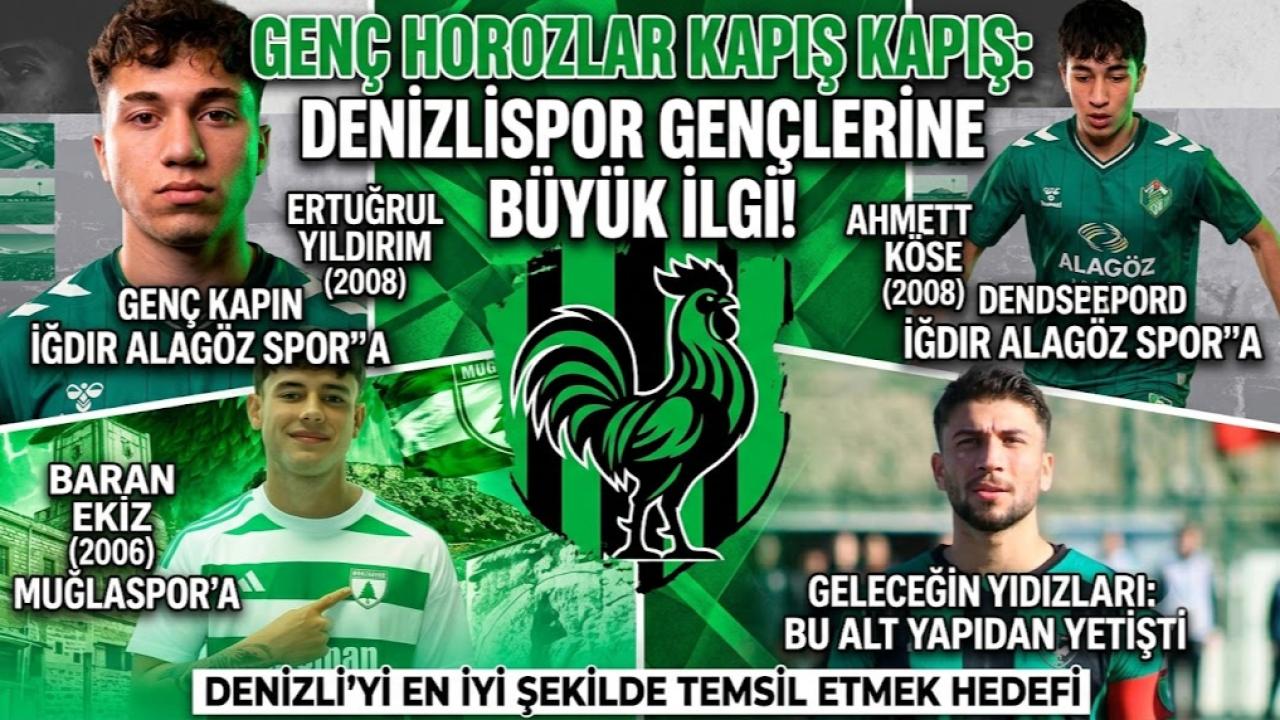 Genç Horozlar Kapış Kapış