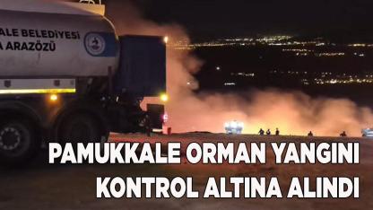 Pamukkale Orman Yangını Kontrol Altına Alındı