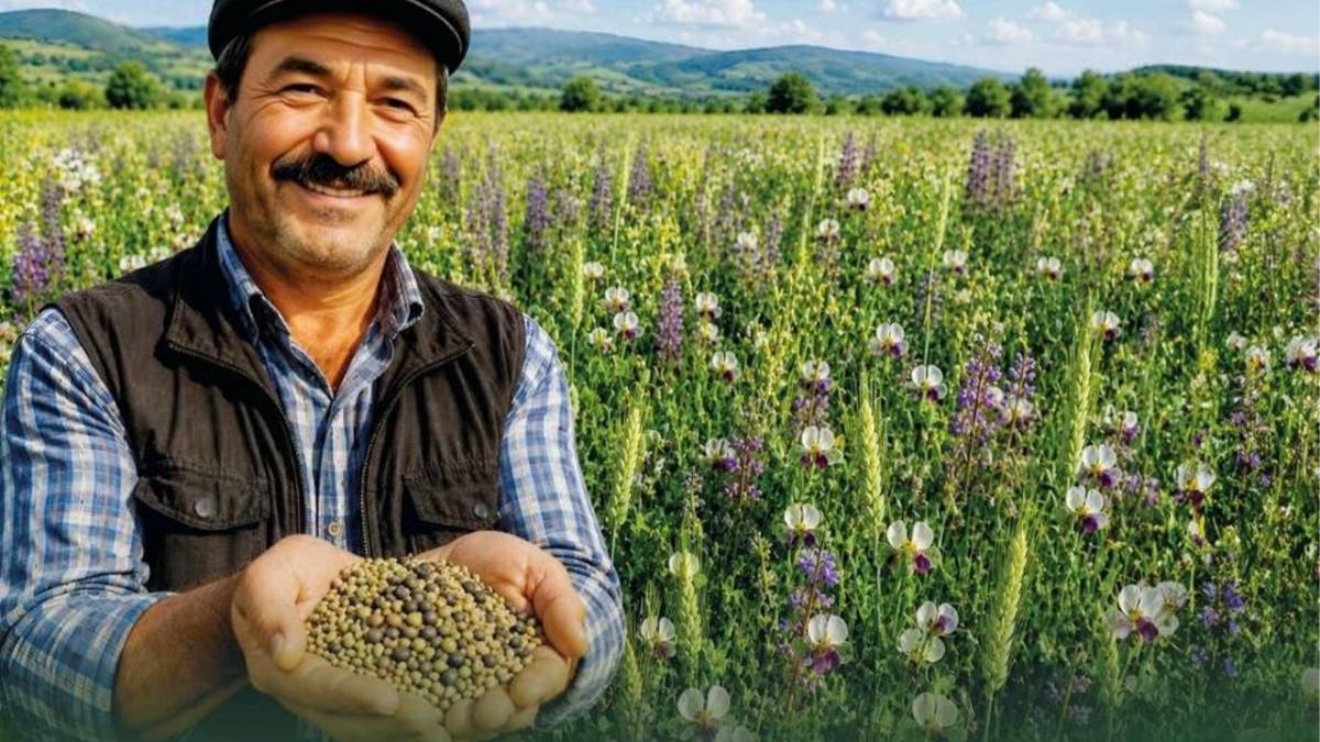 “Yem Bitkisi Tohumu Desteği” için başvuru süreci başladı