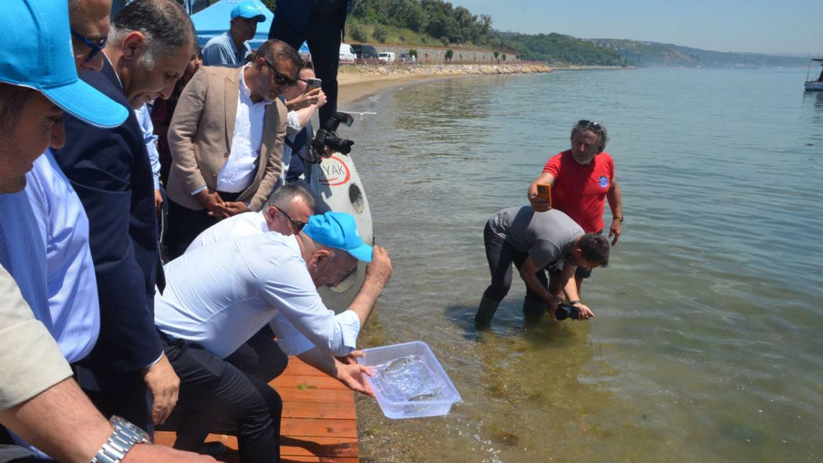 OYAK Çimento’dan Marmara Denizi’ne Sürdürülebilir Gelecek Ya
