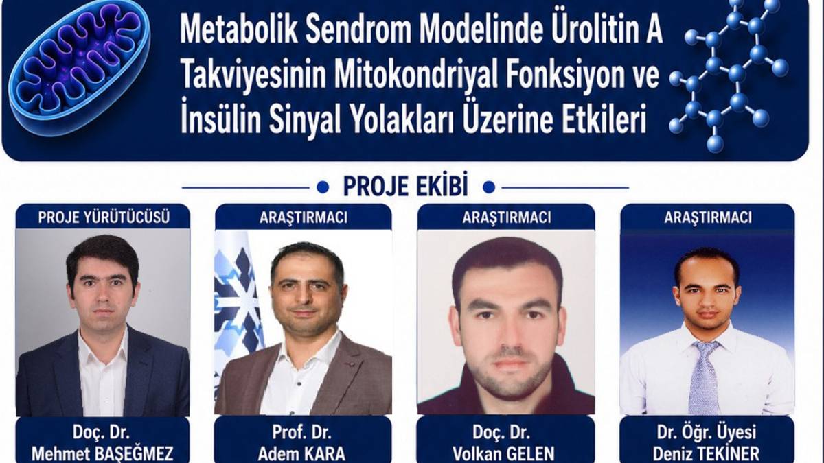 PAÜ Acıpayam MYO Bilimsel Çalışması İçin Büyük Başarı