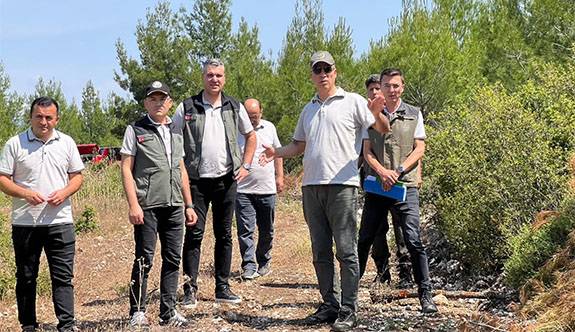 Tavas Ormanlarında Kritik İnceleme